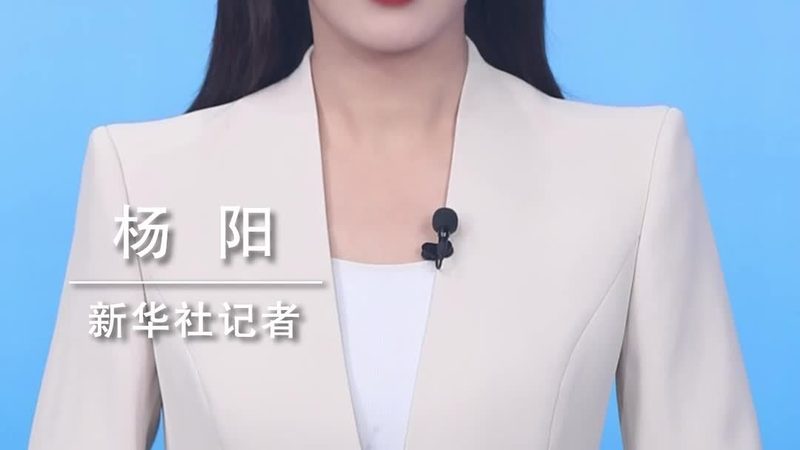 數(shù)據(jù)服務(wù)公司排名2025，榜單背后藏著哪些行業(yè)真相